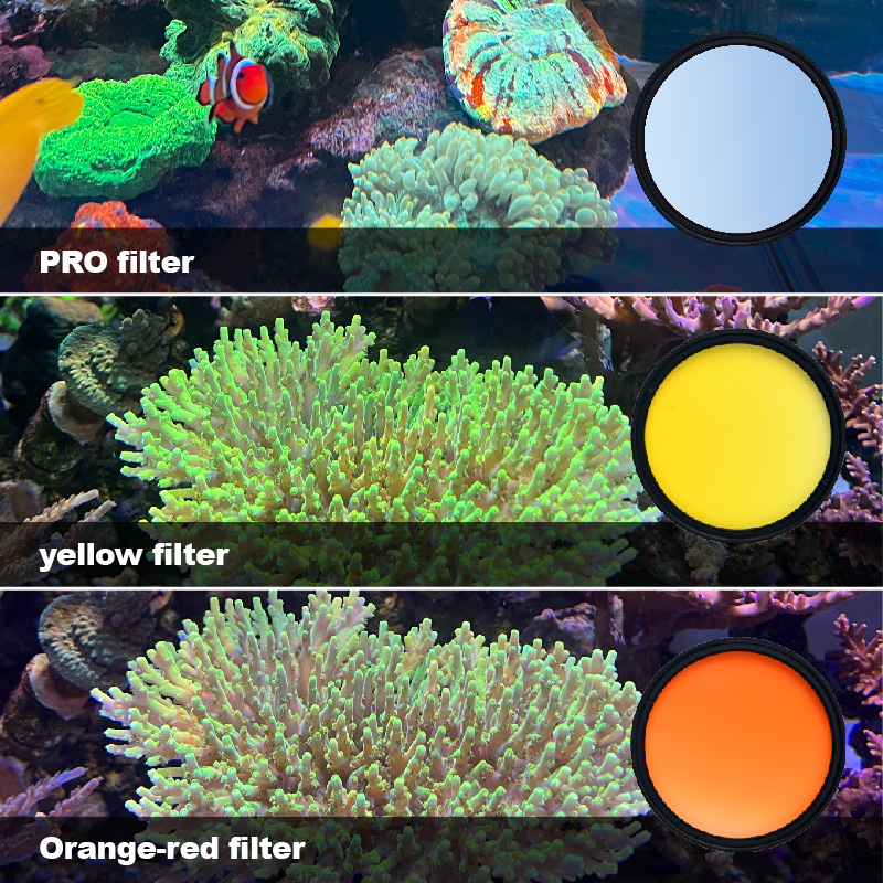 Photo Develop Tank - Filtr do akwarium morskiego Vastocean, akwarium